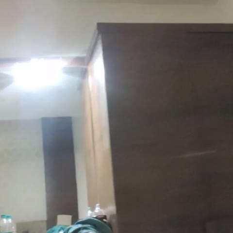Nevaji Palace - Traveller Photo