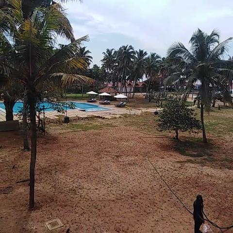 Estuary Sarovar Premiere, Poovar Island - Traveller Photo