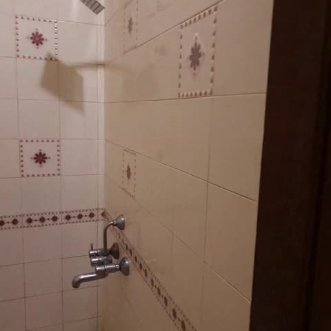 Jasmine Palace - Traveller Photo