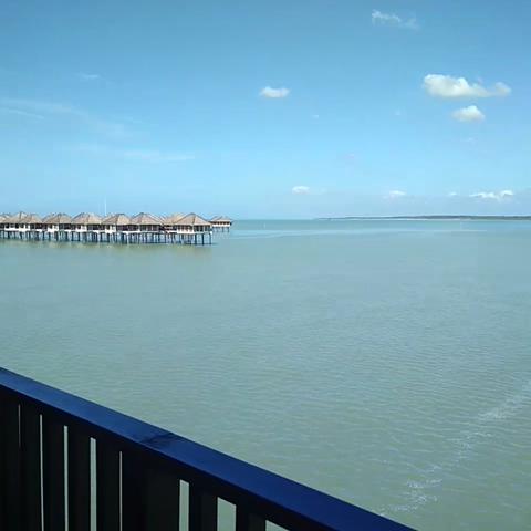 Golden Palm Tree Sepang - Traveller Photo