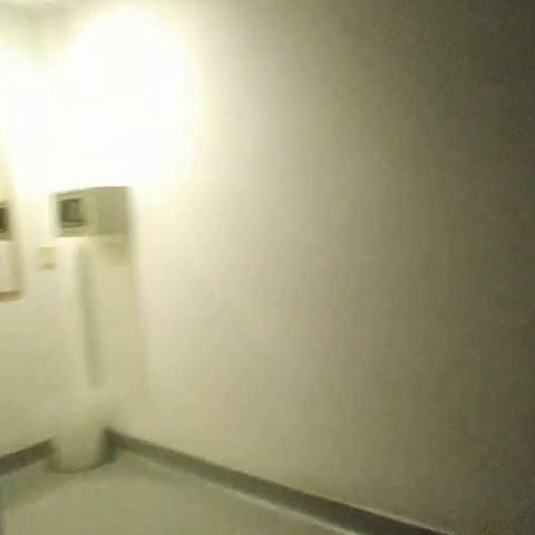 OYO 161 Lodge Paradize Hotel - Traveller Photo