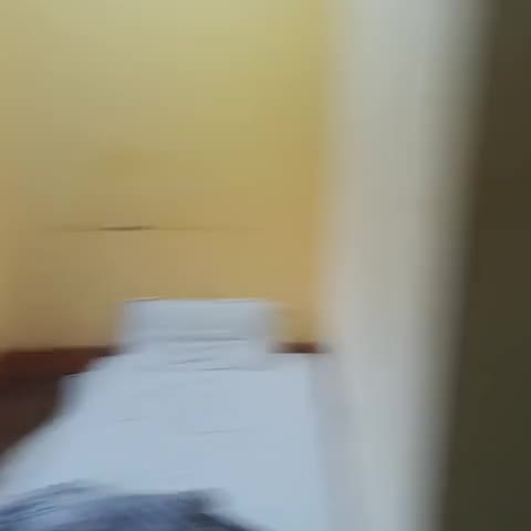 Hotel The Nest - Traveller Photo