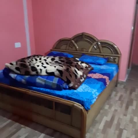 Sun Rise Guest House - Traveller Photo