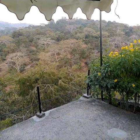 Dera Kumbhalgarh  A Nature Resort - Traveller Photo