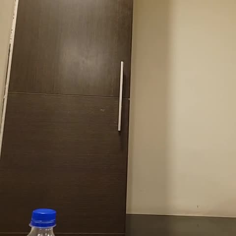 Hotel Raj Vihar - Traveller Photo