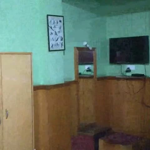 Rufina Royal Lachung A Pure Veg Hotel - Traveller Photo