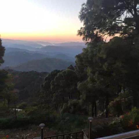 Hotel Ravine Palace - Traveller Photo