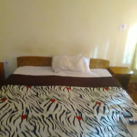 Elite Guest House - Traveller Photo
