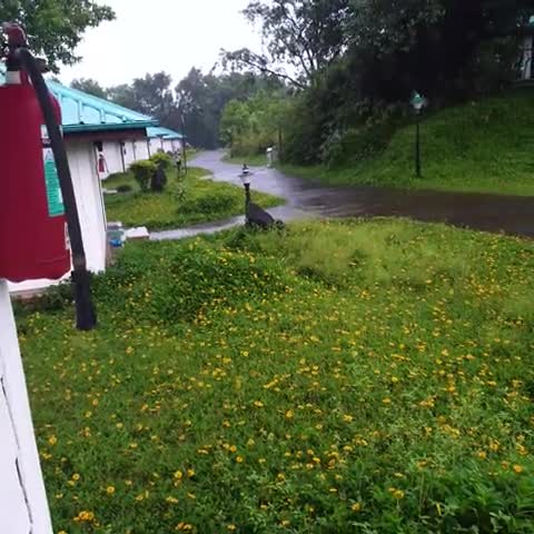 Aamby Valley City - Traveller Photo