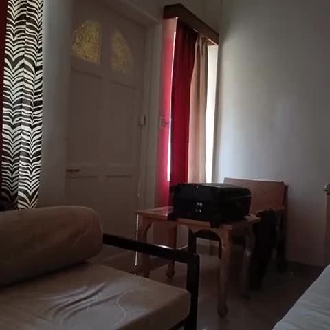 Avion Holiday Resort - Traveller Photo