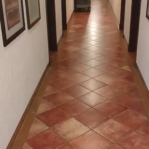 Hotel Chandralok - Traveller Photo