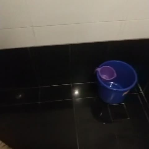 Hotel Rama Krishna - Traveller Photo