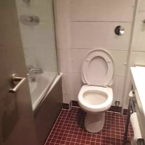 Radisson Hotel & Conference Centre London Heathrow - Traveller Photo