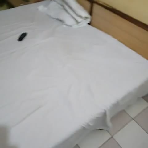 Aryan Hotel - Traveller Photo