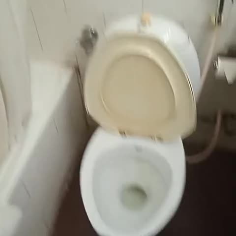 Hotel Deep Palace - Traveller Photo