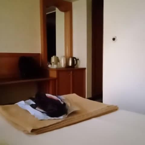 Hotel Aditya - Traveller Photo