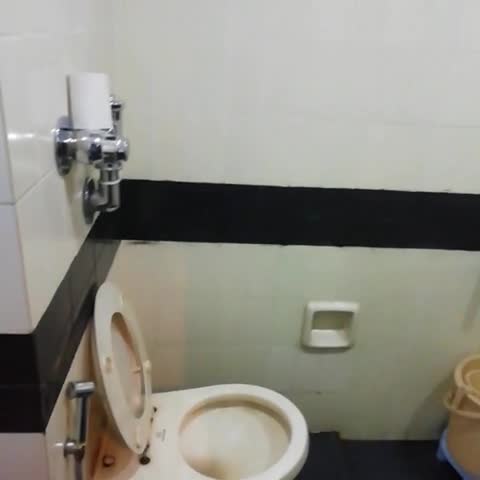 Hotel Park Plaza - Traveller Photo