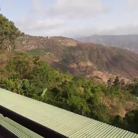 Hotel Rainforest Panchgani - Traveller Photo