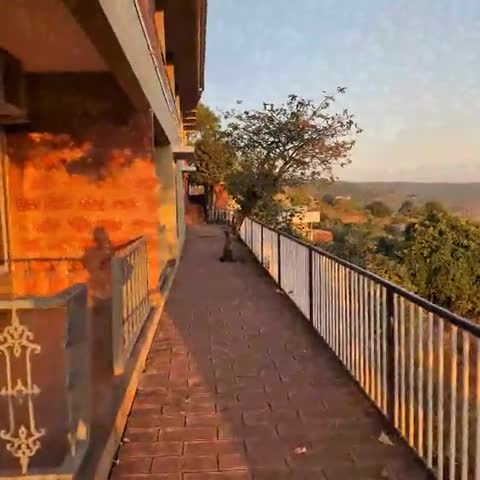 The Byke Sai Cottage, Mahabaleshwar - Traveller Photo