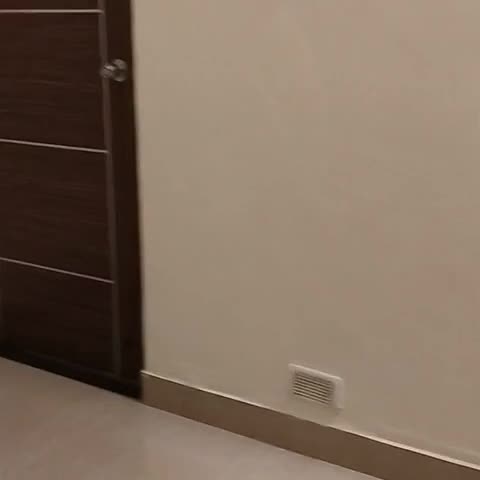 Hotel Pearl Regency - Traveller Photo