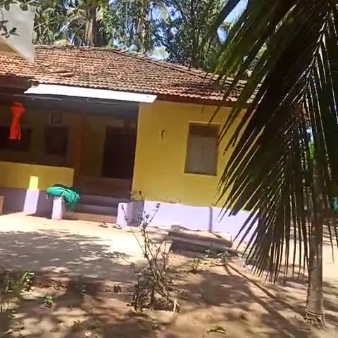 Piyush Home stay - Traveller Photo