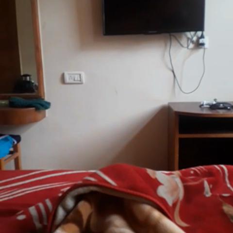 Hotel Adarsh Annexe - Traveller Photo