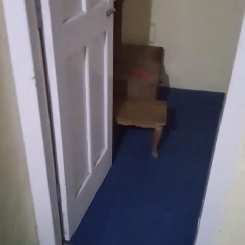 Hotel Anand Sundar - Traveller Photo