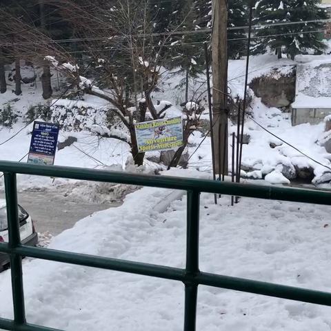 Satkar Residency - Riverside Old Manali - Traveller Photo