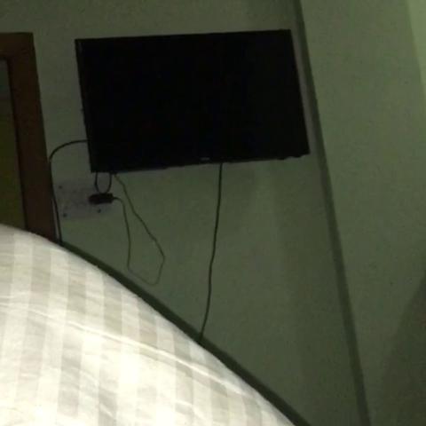 Hotel Snow Bird - Traveller Photo