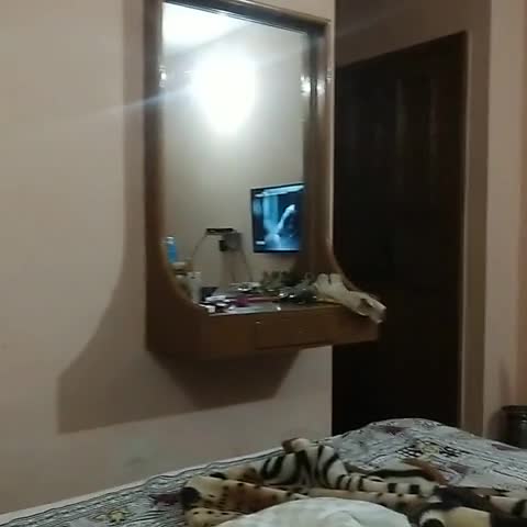 Hotel anupam - Traveller Photo