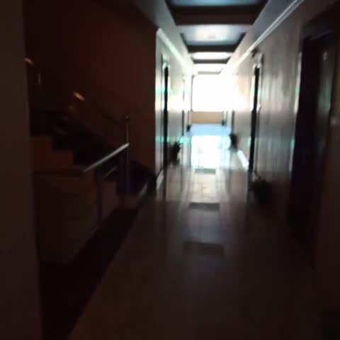 Hotel Bodh International - Traveller Photo