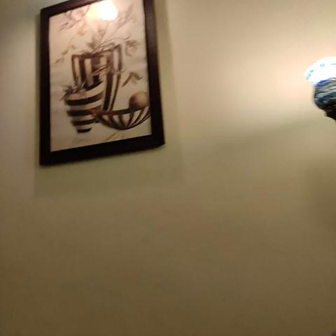 The Himachal Inn - Traveller Photo