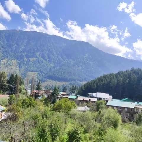 The Orchard Greens Resort (A centrally heated property) - Traveller Photo