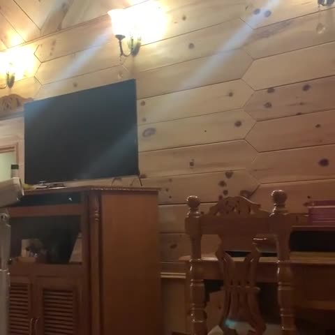 Storii By ITC Hotels Urvashis Retreat, Manali - Traveller Photo