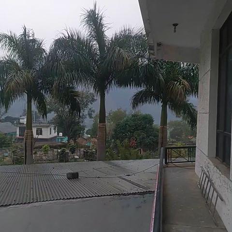 Hotel O Mid Way Tourist Resort - Traveller Photo