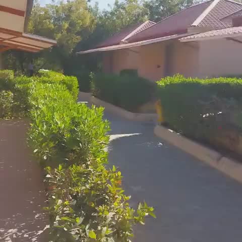 The Palm Resort - Traveller Photo