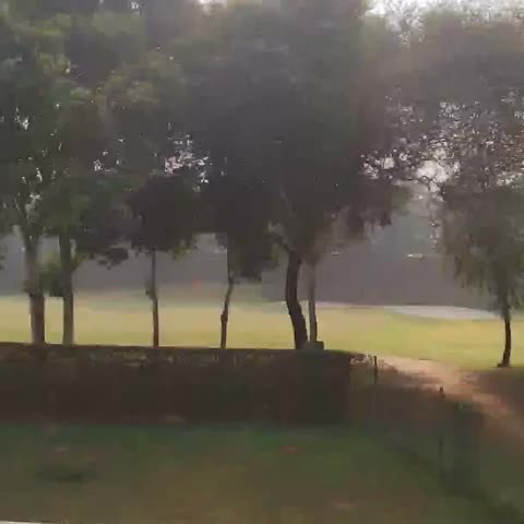Lemon Tree Hotel, Tarudhan Valley - Traveller Photo