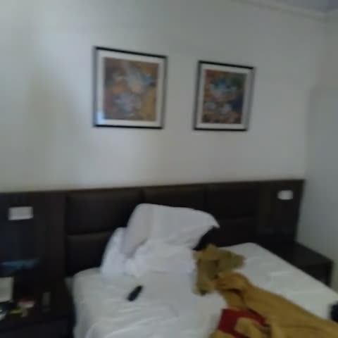 Golden Residency Hotel - Traveller Photo