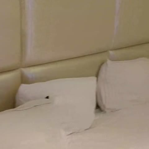Hotel Tranquil Manipal - Traveller Photo
