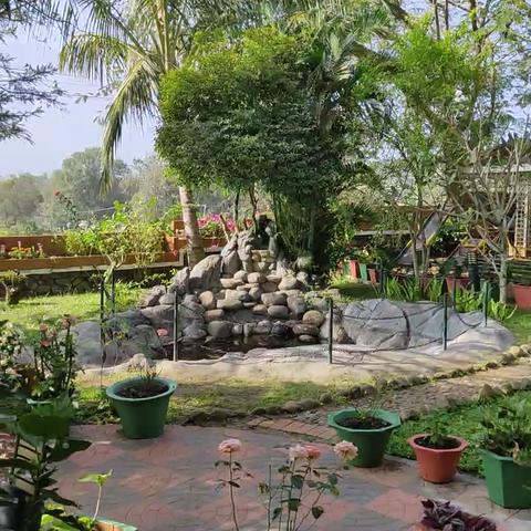 The Nest Inn Resort - Traveller Photo