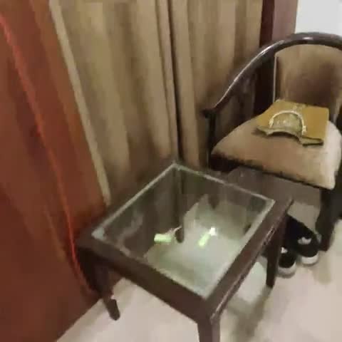 Lotus Grand Hotel and Resort - Traveller Photo