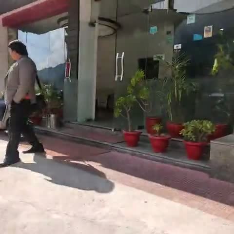 Hotel Shivani International l A Wellness Haven in the Heart of Dhauladhars - Traveller Photo