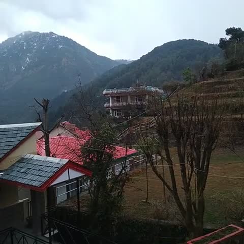 Udechee Huts - Traveller Photo