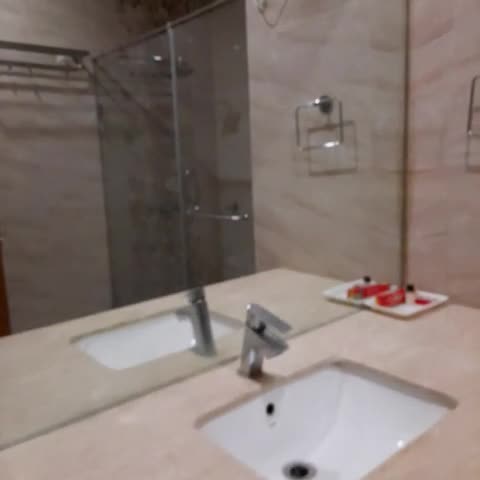 Bhagwati Palace - Traveller Photo