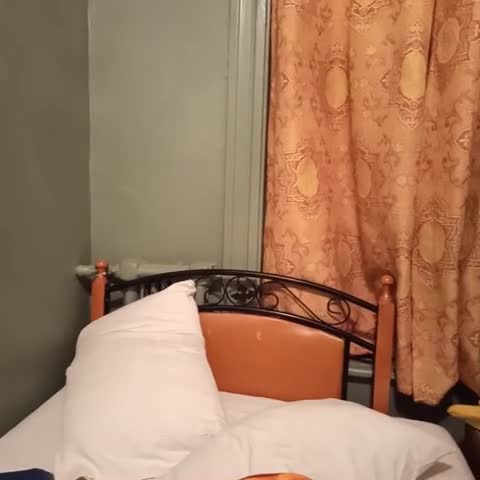 Hotel Arena Palace Montreal - Traveller Photo