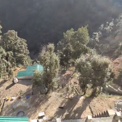 Oak N Ridge Resort - Traveller Photo