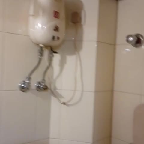 Eco Hotel - Traveller Photo
