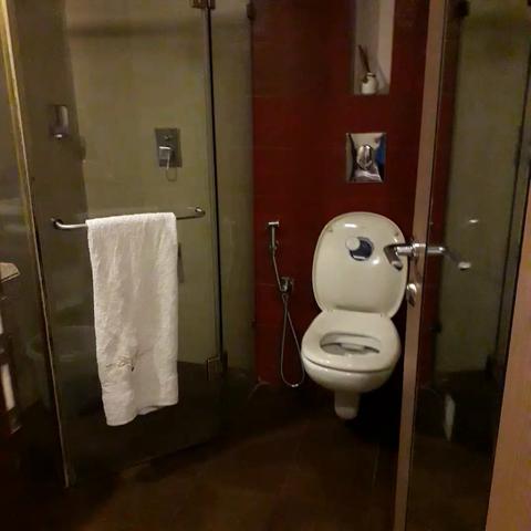 Hotel Landmark Annexe - Traveller Photo