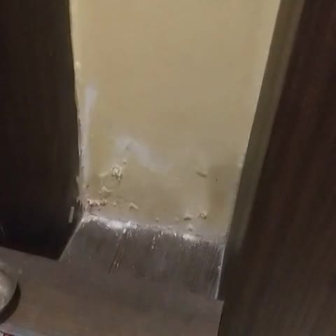 Hotel Artus Inn, MIDC, Andheri East, Mumbai. - Traveller Photo