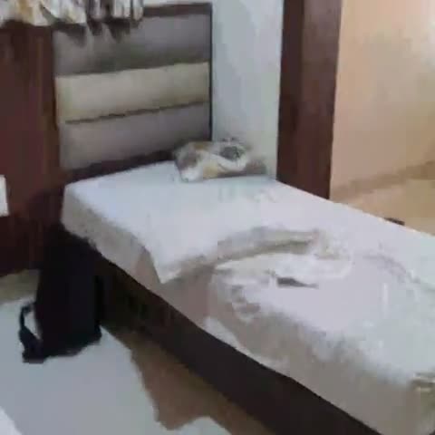 Hotel Golden Palms - Traveller Photo